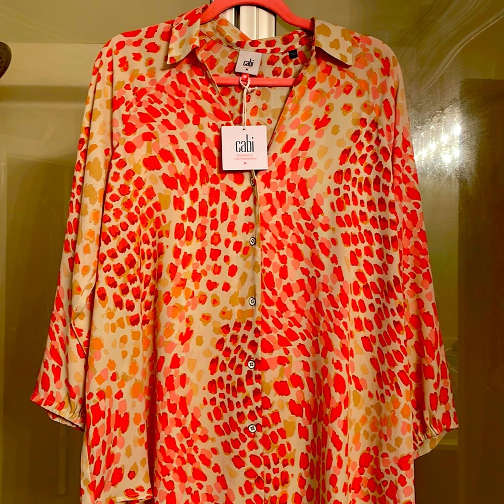 Cabi blouse